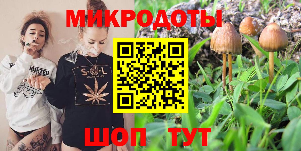 Псилоцибиновые грибы Cubensis  Вход с VPN  Дедовск 